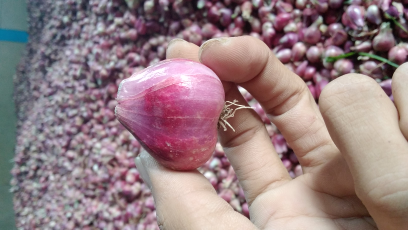 BAWANG MERQH SUPER