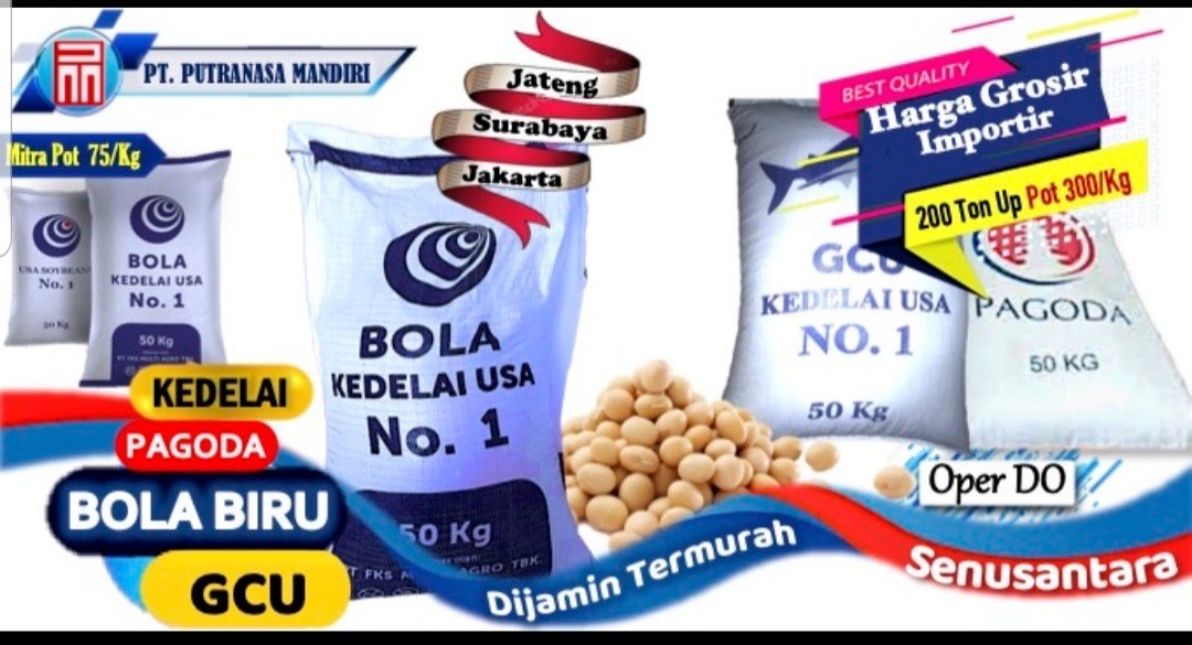 Kedelai Murah Berkualitas