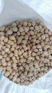 Jual Kemiri Kupas BULAT dan keping,