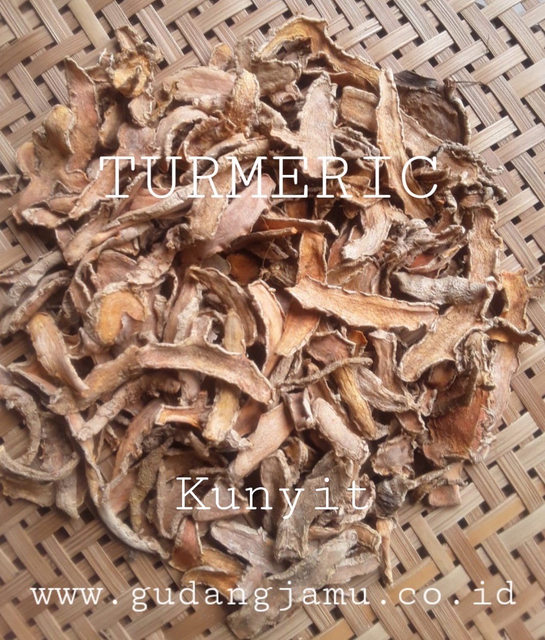 KUNYIT TURMERIC CUCURMA DOMESTICA