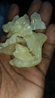 Getah Damar Papua