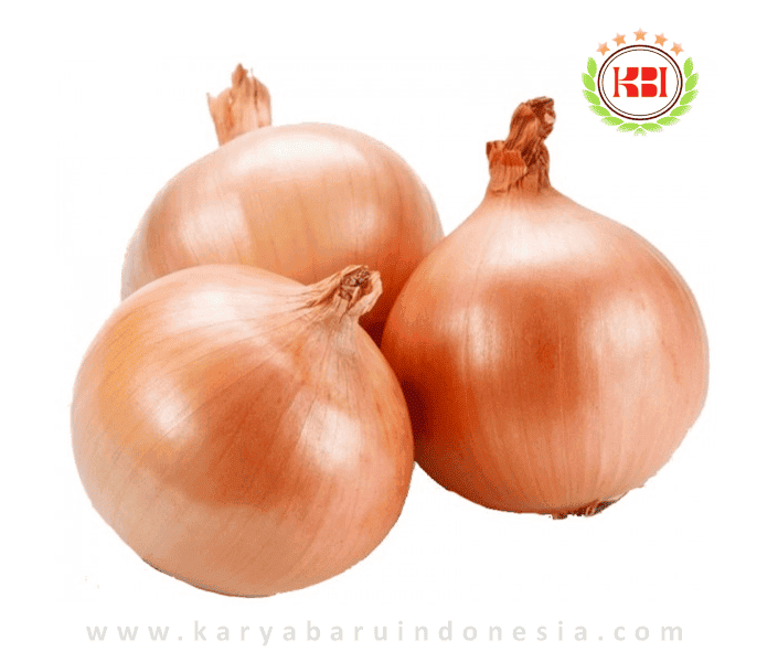 JUAL BAWANG BOMBAY / BAWANG BOMBAI / ONION 