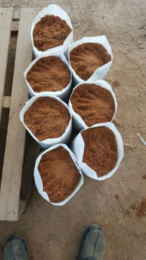 cocopeat murah