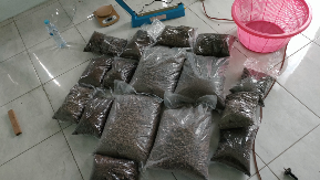 pupuk kohe puyuh