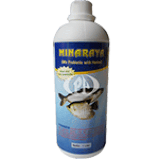 MINARAYA IKAN 500 ml - Suplemen untuk meningkatkan produktifitas ikan.