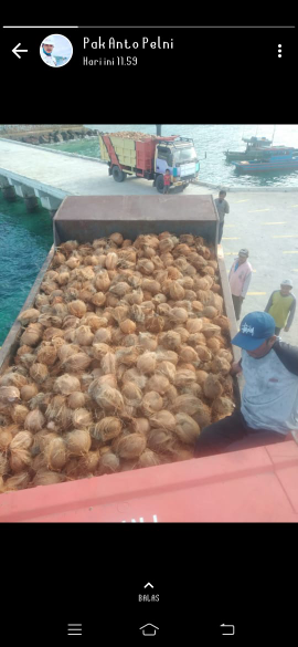 KELAPA TUA SANTAN