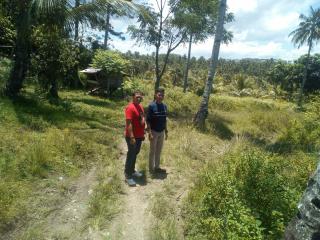 TANAH MURAH SHM