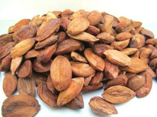 jual buah kenari
