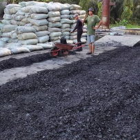 Arang batok kelapa abu 3%