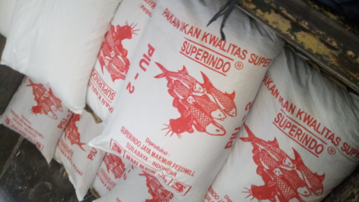 jual pakan ikan,babi,ungas dan ayam