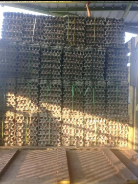 telor ayam ras