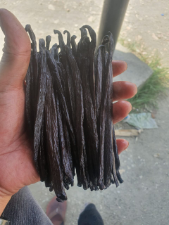 VANILI TAHITI GOURMATE SUPER