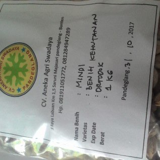 Benih Mindi