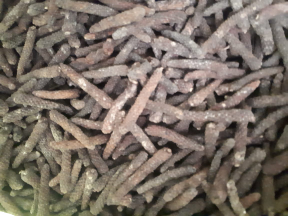 Cabe jamu kwalitas super