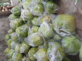 buah jambu kristal