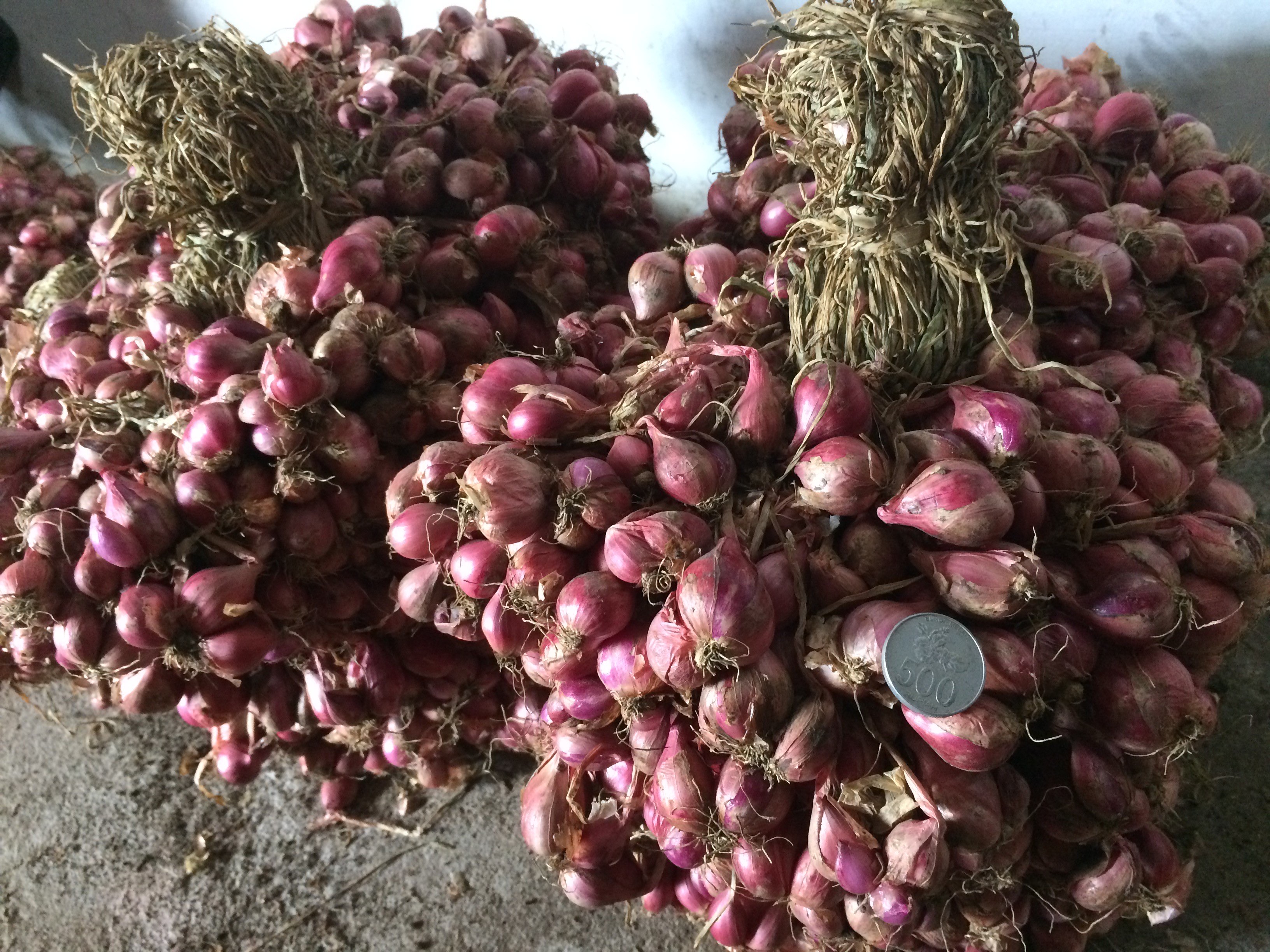 Bawang Merah