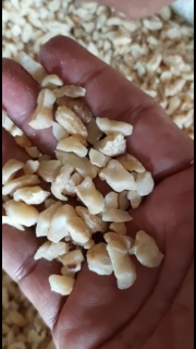 menir kemiri