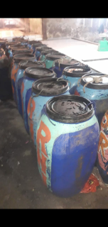 distributor ikan patin