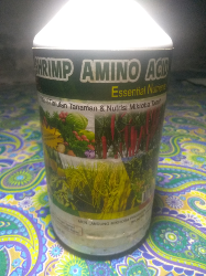 Pupuk Asam Amino (shrimp Amino Acid9