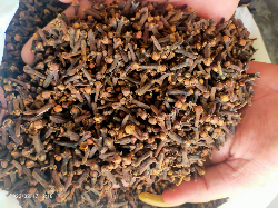 cengkeh kering
