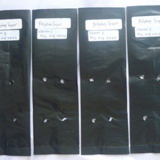 Jual Polybag Untuk Pembenihan