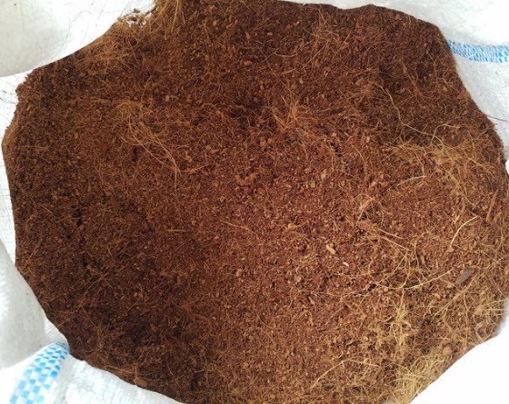 Cocopeat