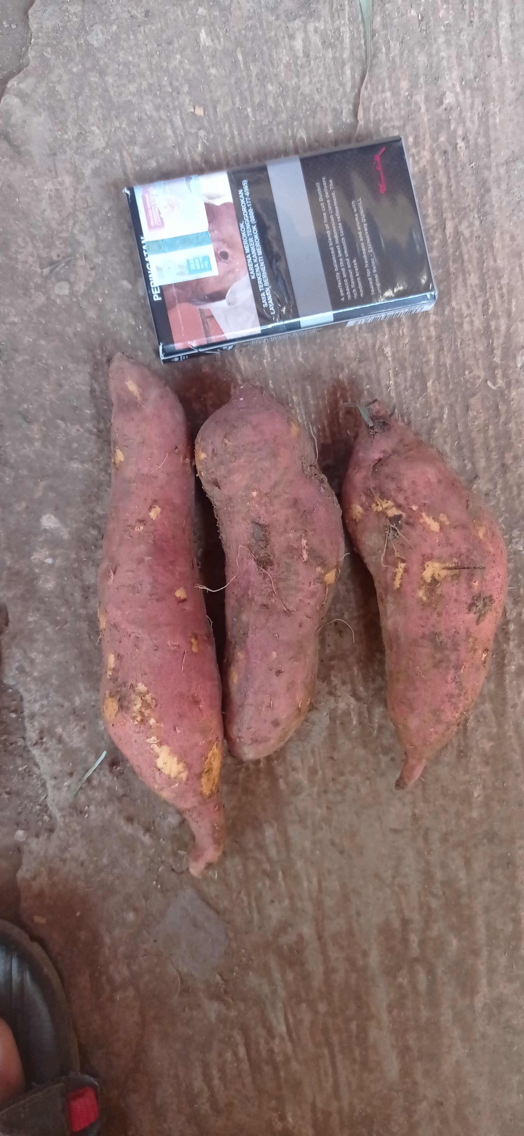 Ubi madu manis