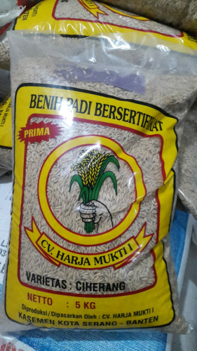 Bibit Padi Variant Ciherang