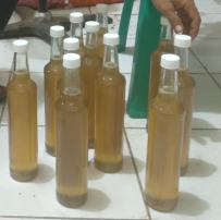 Madu Hutan Tambora Bima NTB