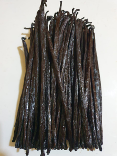 vanilla standar ekspor
