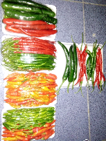 Sayur Fresh