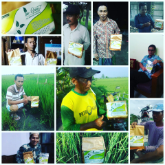 Pupuk Nutrisi Terbaik Bio-Greenz
