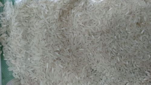 beras premium