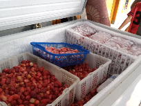 Strawberry Frozen berkualitas murah
