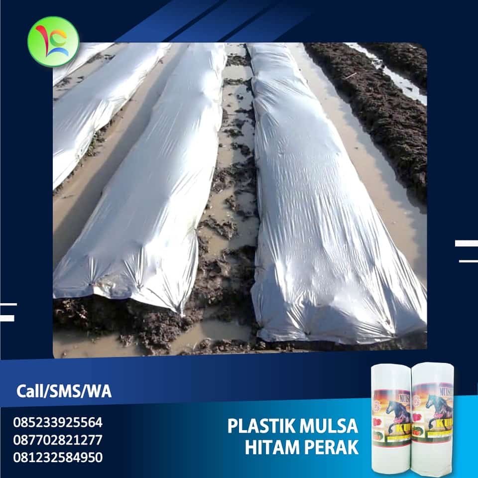 Mulsa Platik Bedengan Tanah