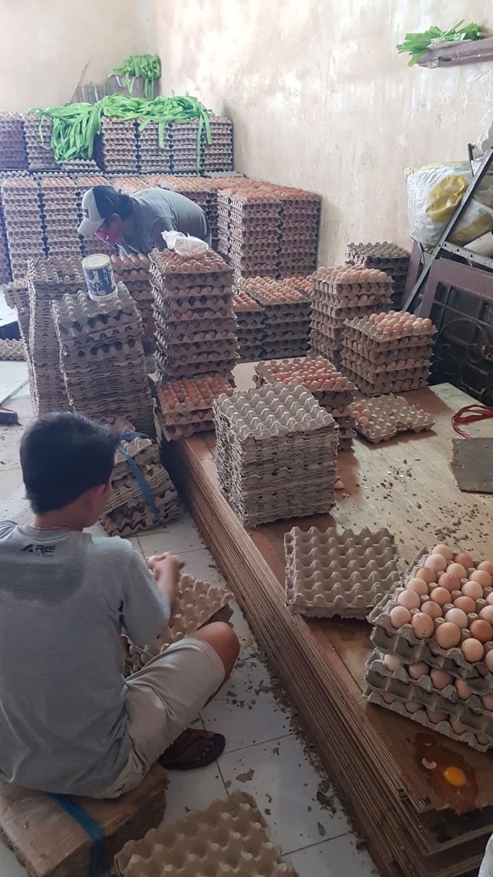 Telur Ayam Lokal Fresh