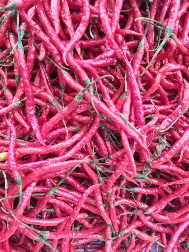 cabai keriting merah
