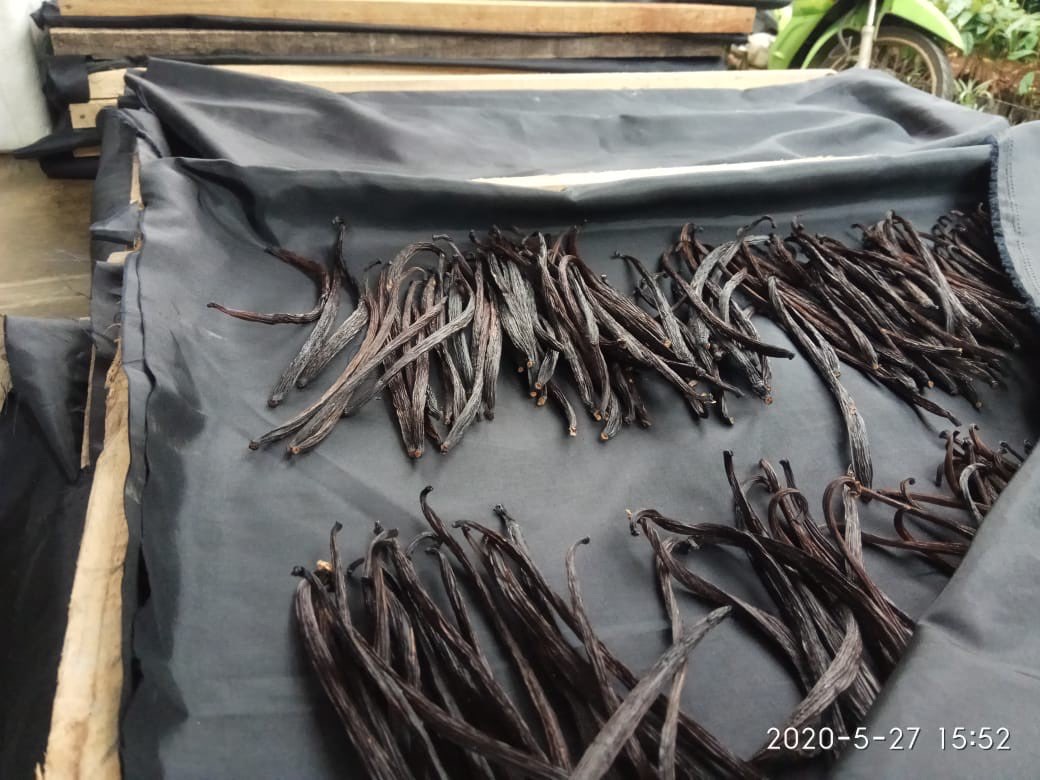 1KG Vanili Tahiti Grade B