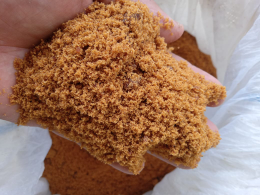 gula aren semut organik