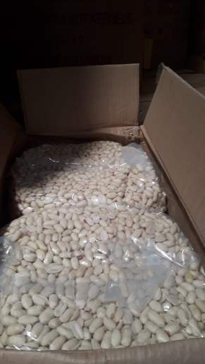 kacang tanah kupas semua ukuran ready