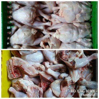 Supplier Ayam Broiler Kecil