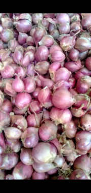 Bawang Merah Bima Super Banjar