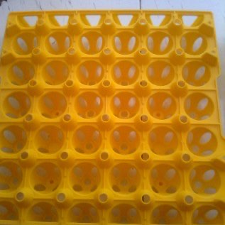 Jual Egg Tray Plastik