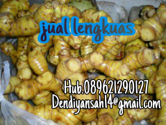 jual lengkuas