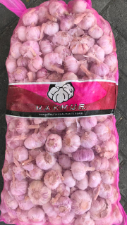 jual bawang putih sico & kating