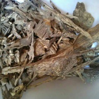 Kayu gaharu