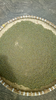 kacang ijo