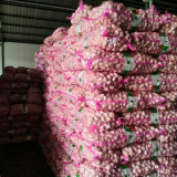 Bawang putih import