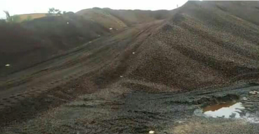 bungkil dan cangkang sawit
