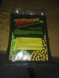 Rhizobium